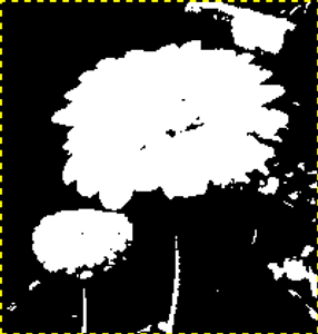 Die gewählte Ebene nach Anwendung des Schwellwert-Werkzeugs